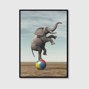 Balancing Elephant on ball