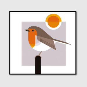 robin bird illustration