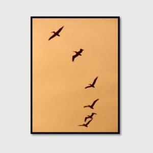 Birds in Orange Sky